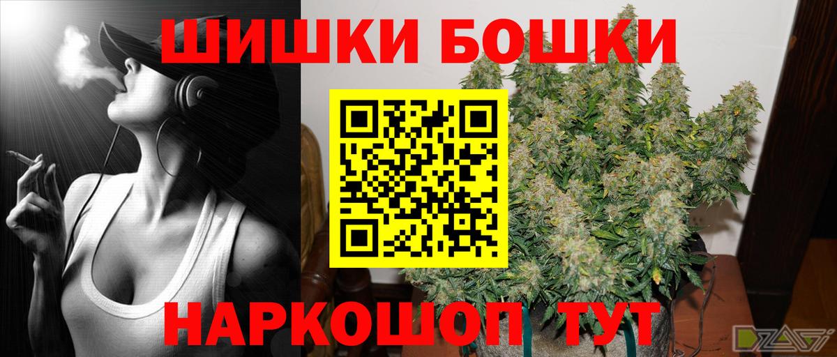 Конопля планчик Дубна